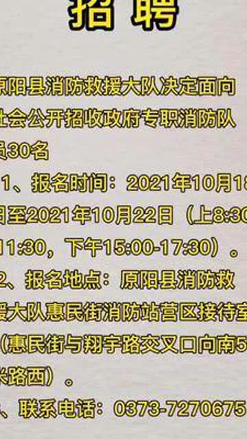 原阳在线最新招聘解析，如何解读最新招聘信息？