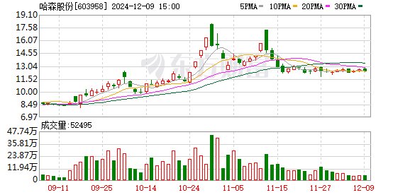 哈森股份最新消息解析