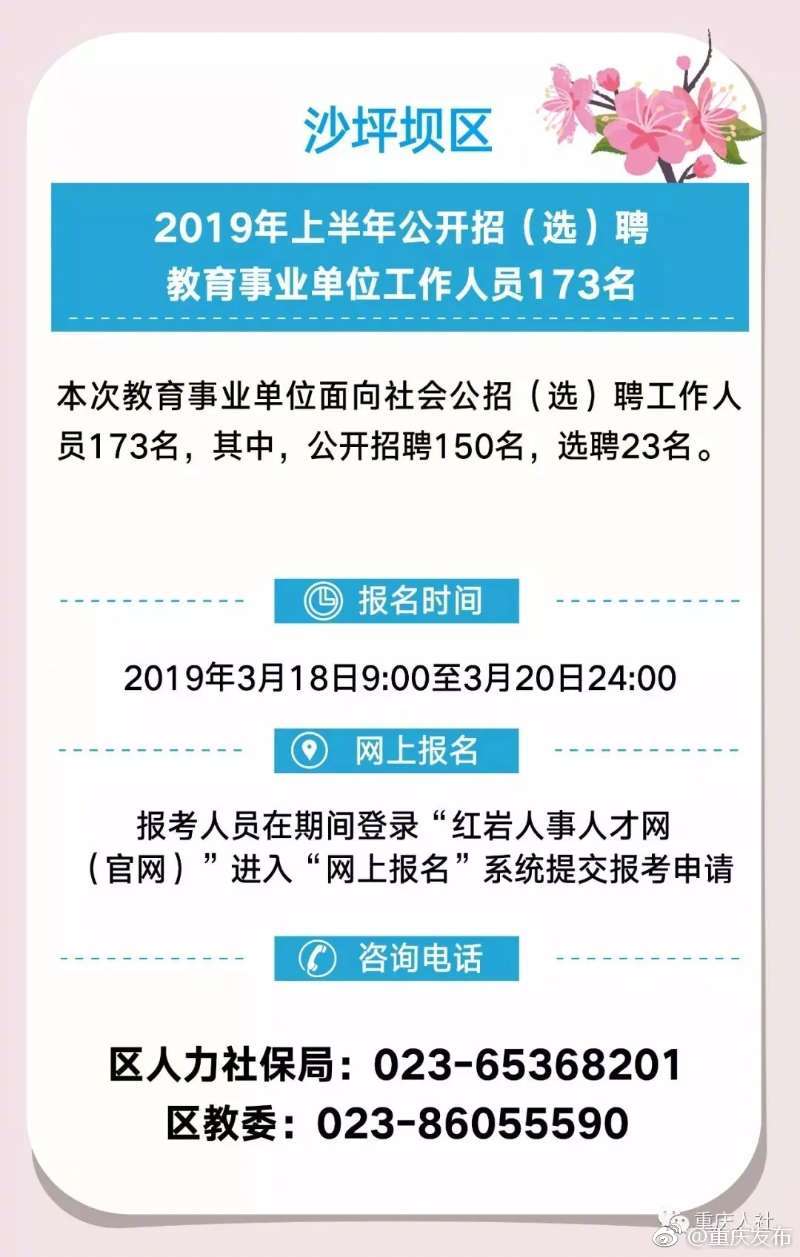 沙湾区成人教育事业单位招聘最新信息全览