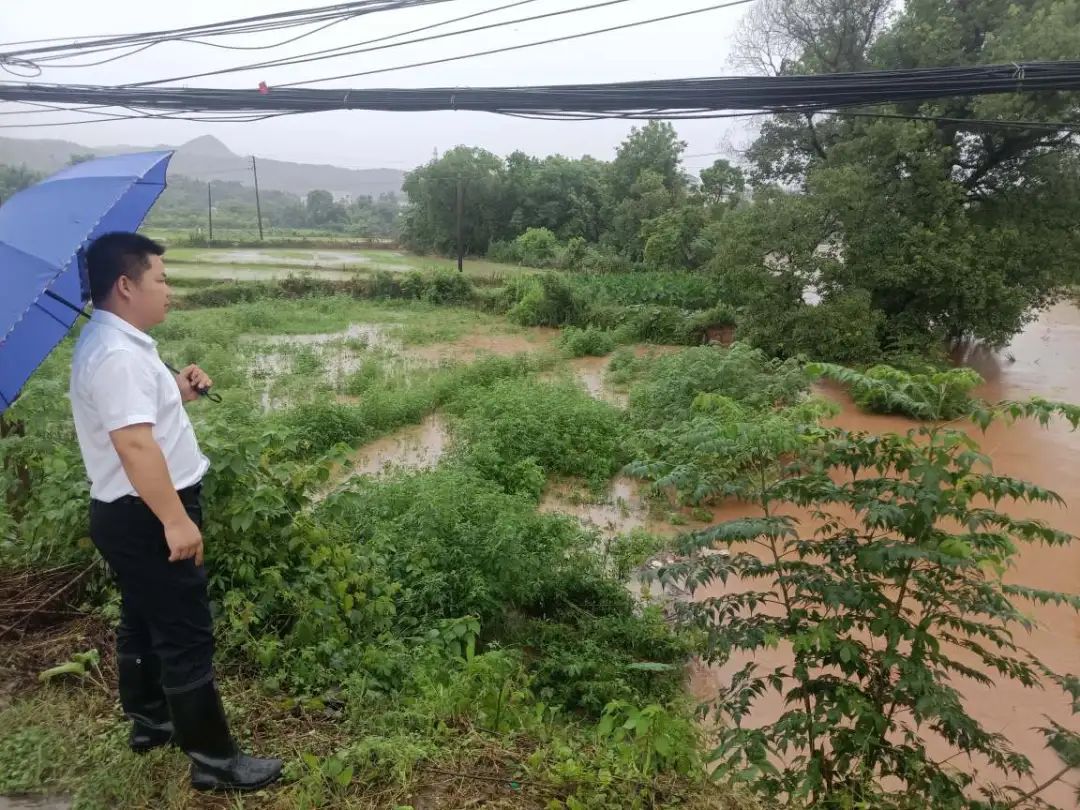 鲇鱼山乡天气预报更新通知