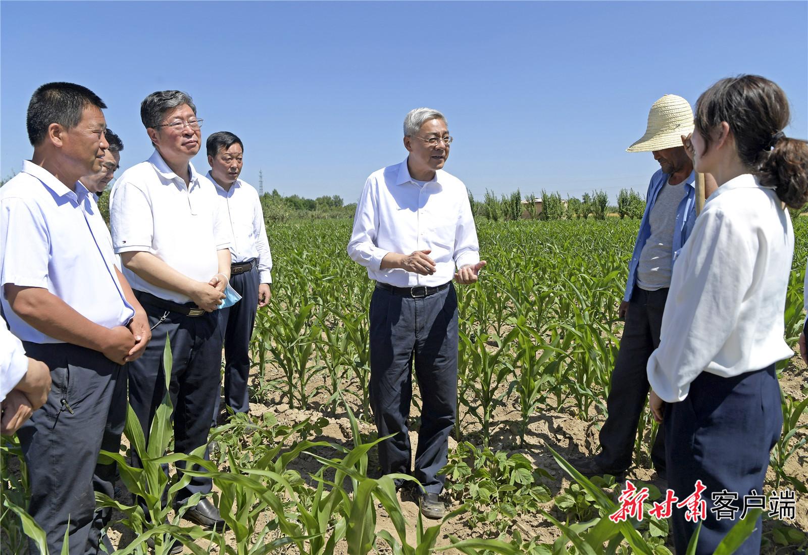 西峰区科技局领导团队最新概述