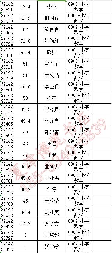 武城县小学最新招聘公告概览