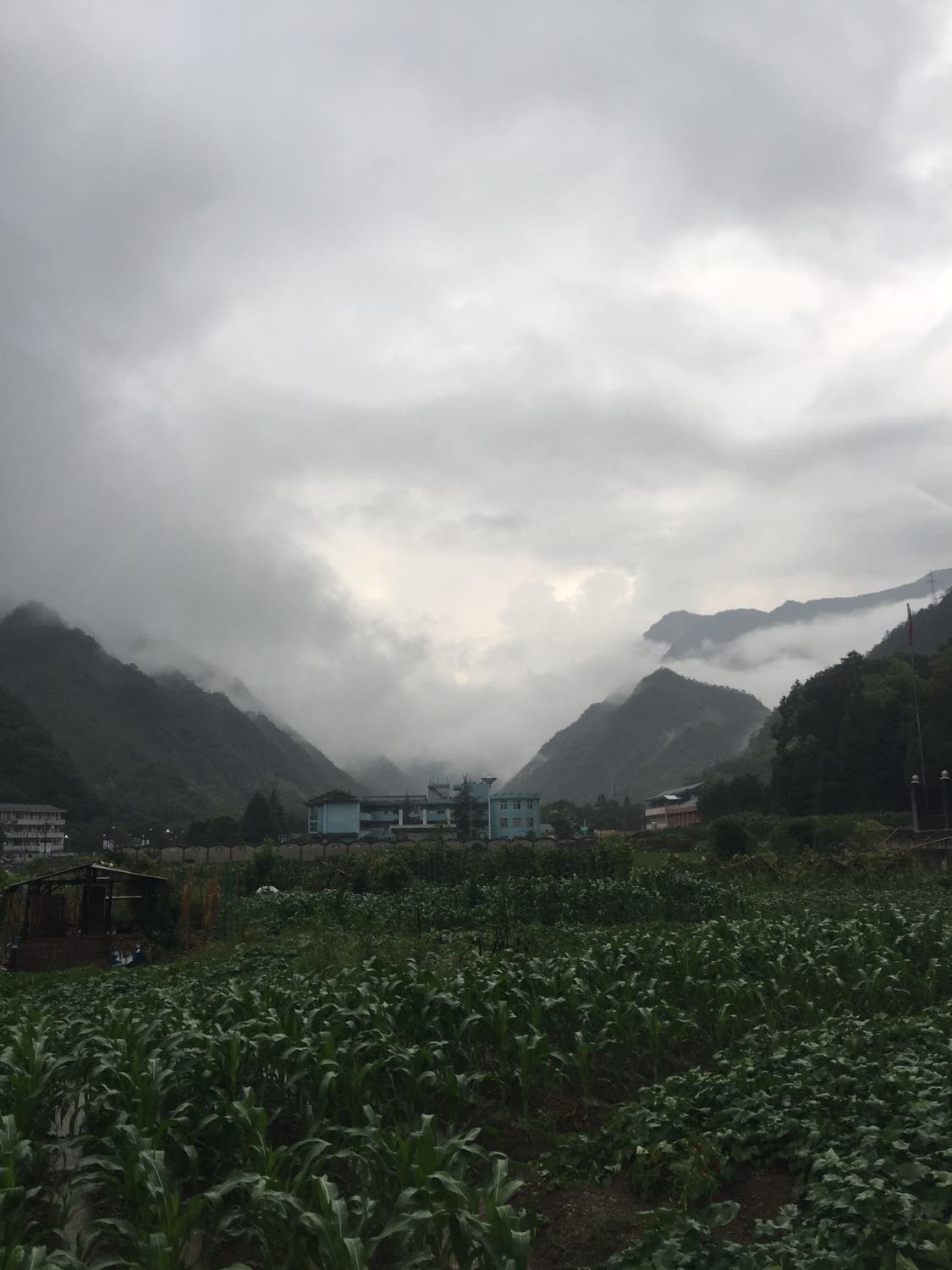 红山村天气预报更新通知