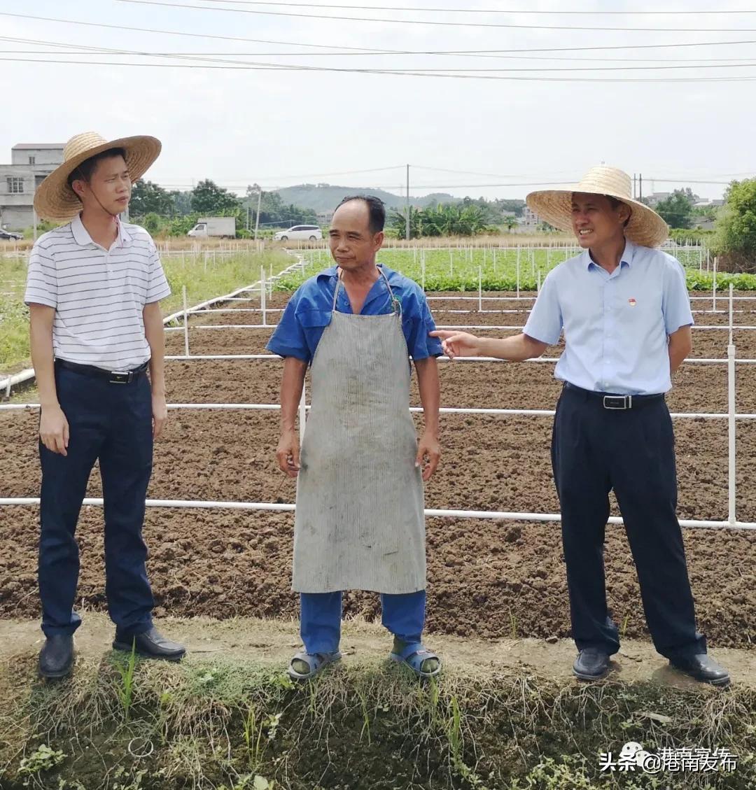 八塘镇最新项目，引领地区发展的强大引擎