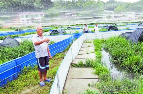 白龙村繁荣和谐蓝图，最新发展规划揭秘