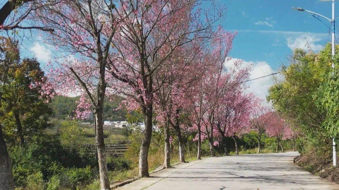 墨红镇天气预报更新通知