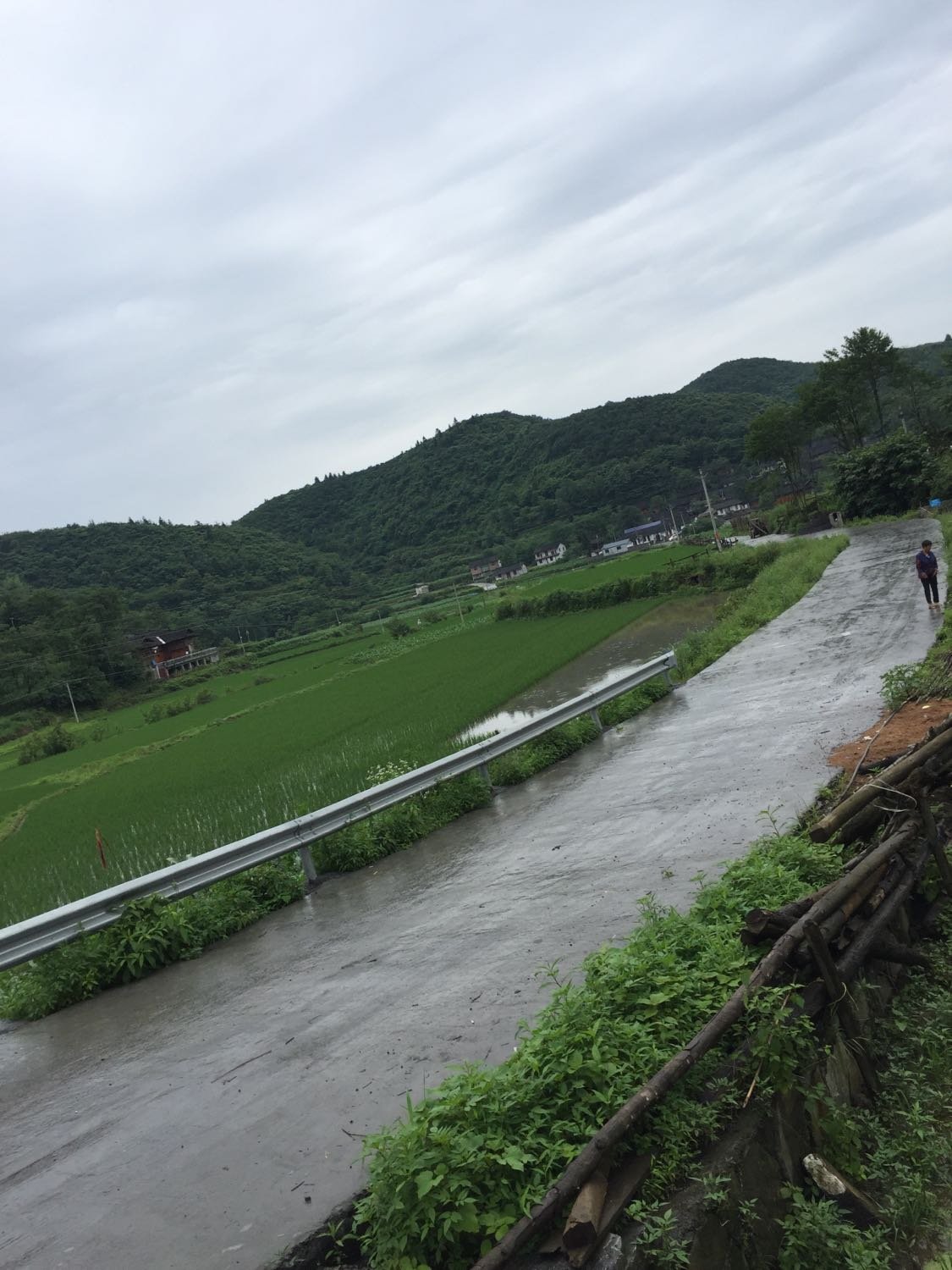 象洞乡天气预报更新通知