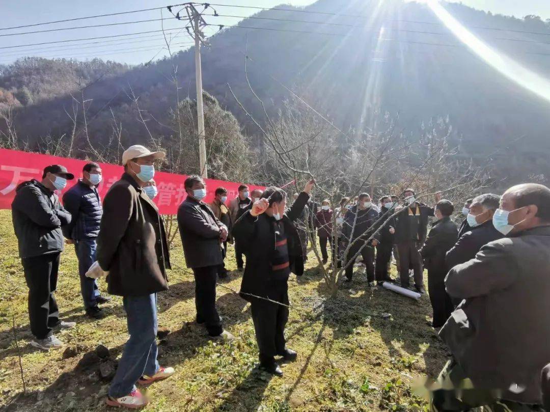 下祝乡新项目，乡村发展的璀璨明珠引领未来